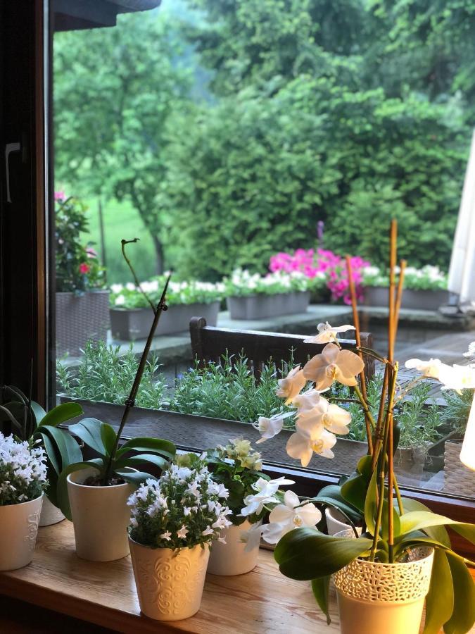 Poncyljuszowka Apartment Szczyrk Bagian luar foto
